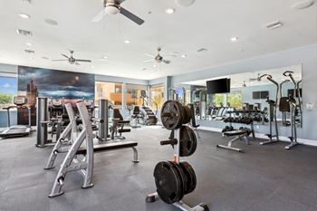 A gym with a variety of equipment including weights and treadmills.